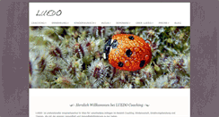Desktop Screenshot of luedo.at